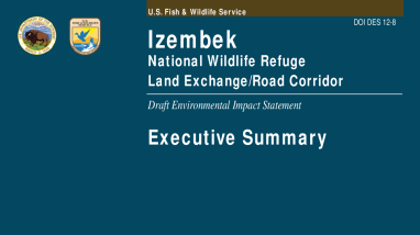 Izembek National Wildlife Refuge land exchange road corridor: draft environmental impact statement