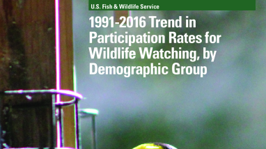 1991-2016 Trend in Participation Rates for Wildlife Watching, by Demographic Group