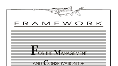 Framework for the management and conservation of paddlefish and sturgeon species in the United States