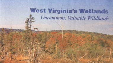 West Virginia's wetlands: uncommon, valuable wetlands