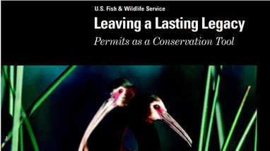 Leaving a lasting legacy: permits as a conservation tool