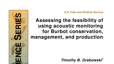 Assessing the feasibility of using acoustic monitoring for Burbot conservation, management, and production