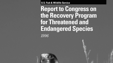 Report to Congress on the Recovery Program for Threatened and Endangered Species 1996