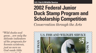 2002 Federal Junior Duck Stamp Program and Scholarship Competition Conservation through the Arts
