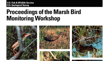 Proceedings of the Marsh Bird Monitoring Workshop