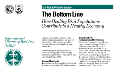 The Bottom Line How Healthy Bird Populations Contribute to a Healthy Economy