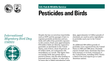 Pesticides and Birds
