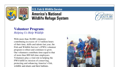 Volunteer program: helping us help wildlife