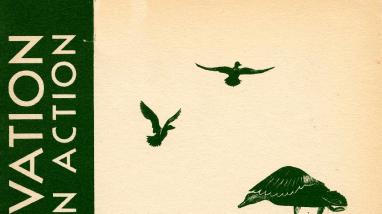 Parker River: a national wildlife refuge (Conservation in Action Series Number Two)