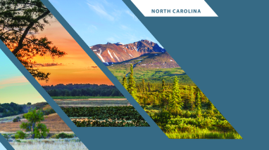 Bridging the 50-State Survey of Fishing, Hunting, and Wildlife-Associated Recreation with Previous National Survey of Fishing, Hunting, and Wildlife-Associated Recreation Trends for North Carolina