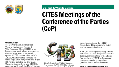 CITES Meetings of the Conference of the Parties (CoP)