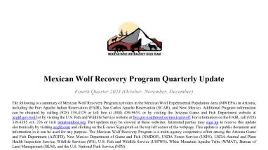 Mexican Wolf Recovery Program Quarterly Report - Fourth Quarter 2023