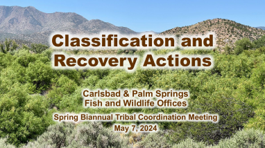 2024 Spring Tribal Coordination Meeting Listing and Recovery Update