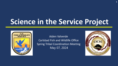 2024 Spring Tribal Coordination Meeting Science in the Service Intern Presentation