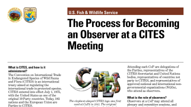 How to Become a CITES Observer