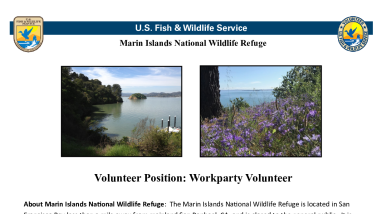 Marin Islands General Volunteer
