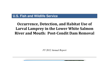 Occurrence, Detection, and Habitat Use of Larval Lamprey in the Lower White Salmon River and Mouth: Post-Condit Dam Removal