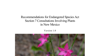 Recommendations for Endangered Species Act Section 7 Consultations Involving Plants in New Mexico
