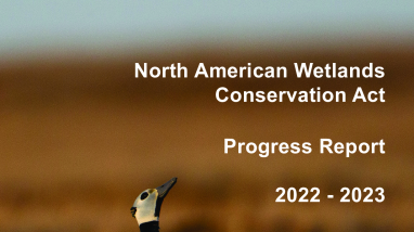 North American Wetlands Conservation Act Progress Report 2022-2023