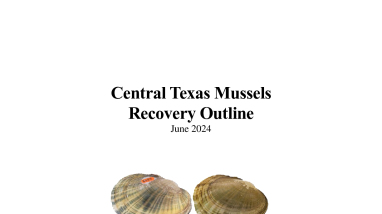 Central Texas Mussels Recovery Outline