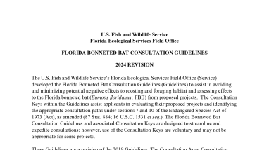 2024 Revision of the Florida Bonneted Bat Consultation Guidelines
