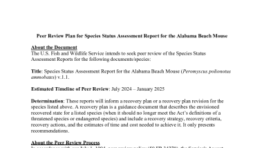 Peer Review Plan for Species Status Assessment Report for the Alabama Beach Mouse