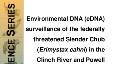 Environmental DNA (eDNA) surveillance of the federally threatened Slender Chub (Erimystax cahni) in the Clinch River and Powell River