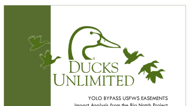 USFWS Yolo Bypass - Ducks Unlimited Report - Attachment D