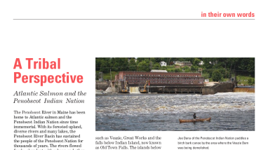 A Tribal Perspective: Atlantic Salmon and the Penobscot Indian Nation