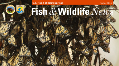 Fish & Wildlife News Spring 2015