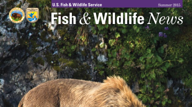 Fish & Wildlife News Summer 2015