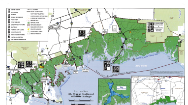 Entire St. Marks NWR
