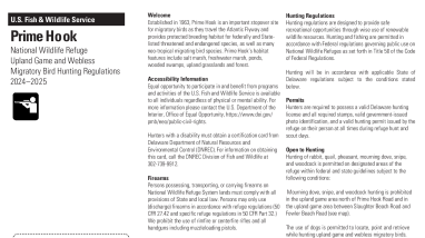 Prime Hook Upland Game and Webless Migratory Bird hunting information 2024