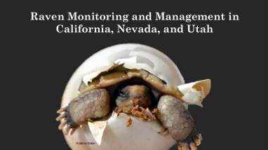 Oct 2024 MOG Meeting - Raven Monitoring and Management Presentation
