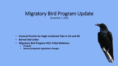 Fall 2024 Tribal Coordination Meeting Migratory Bird Program Updates