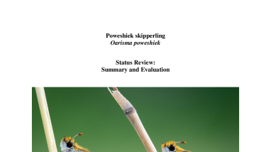 Poweshiek_Skipperling (Oarisma poweshiek) 5-year Review 2024