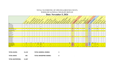 Wheeler NWR Waterfowl Survey - 11/5/2024