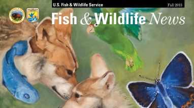 Fall 2013 Fish & Wildlife News