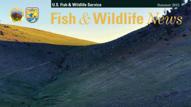 Summer 2013 Fish & Wildlife News