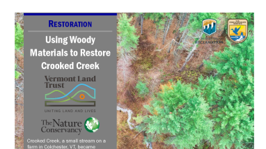 Woody Materials to Restore Creek Handout