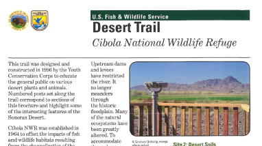 Desert Trail of Cibola NWR