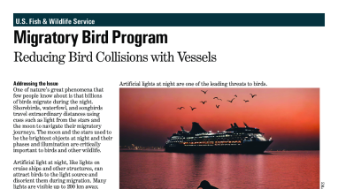 Reducing Bird Collisions with Vessels