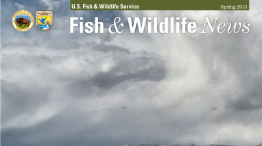Spring 2013 Fish & Wildlife News