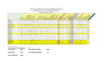Wheeler NWR Waterfowl Survey - 12/31/2024
