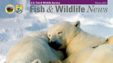 Winter 2013 Fish & Wildlife News