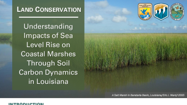 Sea Level Rise and Soil Carbon in Coastal Marshes Handout