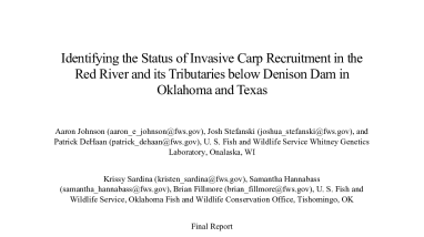 Identifying the Status of Invasive Carp Recruitment in the Red River and its Tributaries below Denison Dam in Oklahoma and Texas