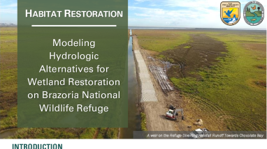Nature-Based Solutions: Hydrologic Alternatives for Wetlands Handout