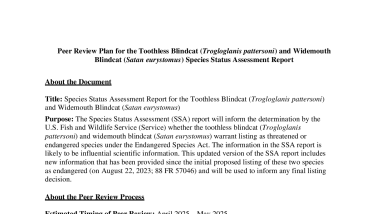 Peer Review Plan: Toothless Blindcat and Widemouth Blindcat Species Status Assessment