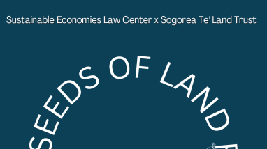 Seeds of Land Return